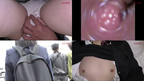 FC2 PPV 1592427 20.12.04 【電車チカン】★衝撃映像★連ドラ主役級美少女がホテルに連れ込まれ泣きながらチカンの精子を受け入れる【47분 04초】