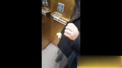 basic-11_9240d5.gif