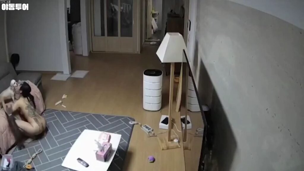 Korean Amateur Video 2026 – IP❤️ 한국 가정집 감시 카메라 영상 유출