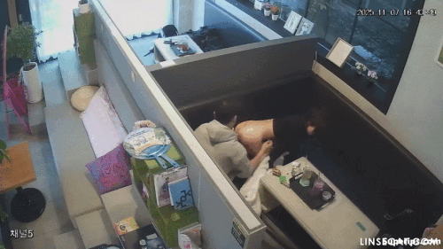ipcam-06.gif